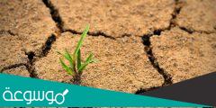 موضوع عن اليوم العالمي لمكافحة التصحر والجفاف