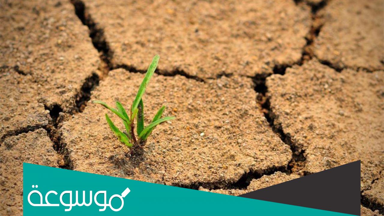 موضوع عن اليوم العالمي لمكافحة