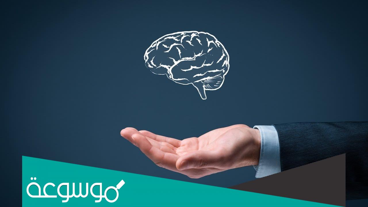 هل الذكاء وراثي ام مكتسب