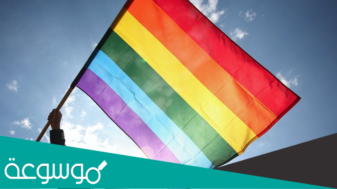 هل سكيتشرز تدعم المثليين