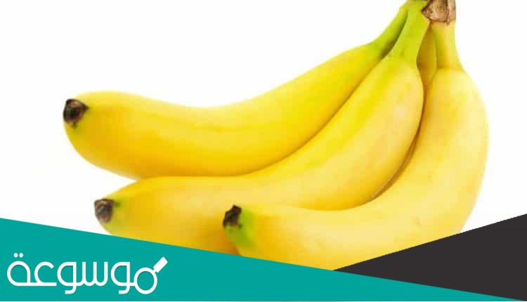 هل يعكس الموز الضوء ام لا