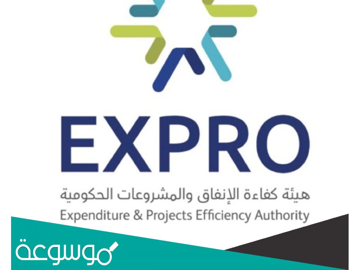 هيئة كفاءة الإنفاق والمشروعات الحكومية رواتب