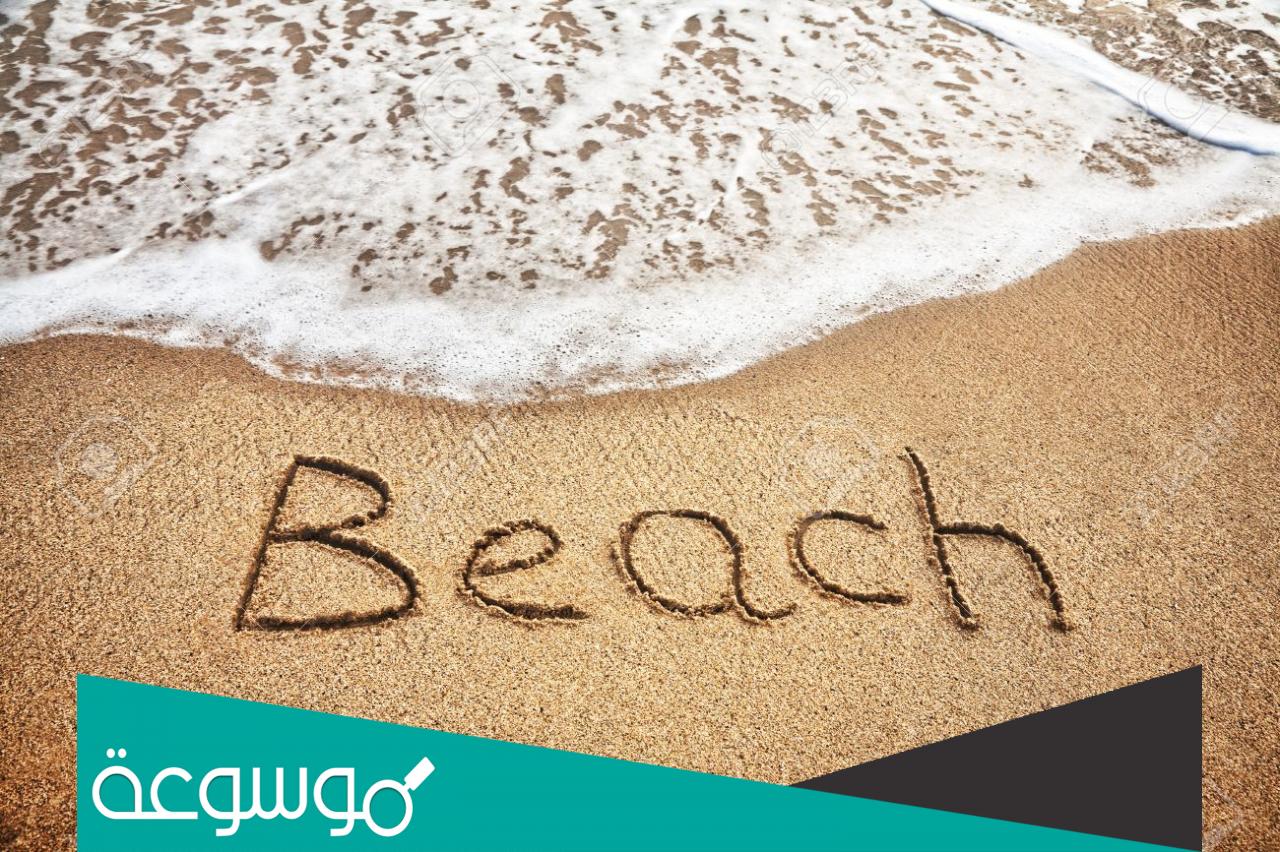 وش معنى بيتش ما معنى beach