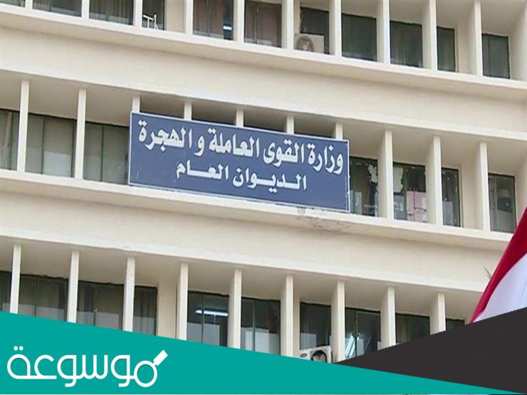 mom.manpower.gov.eg خطوات تسجيل البيانات لصرف 500