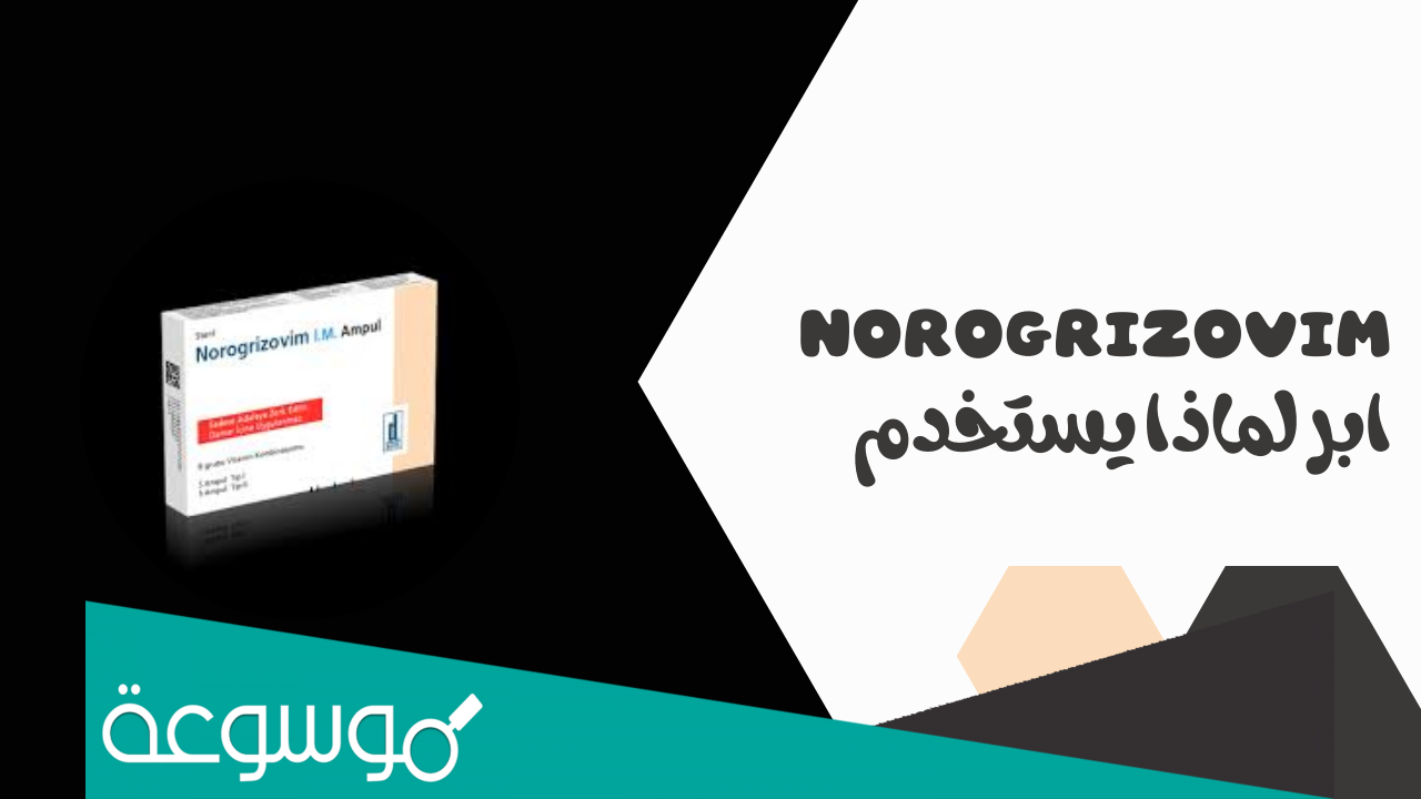 norogrizovim لماذا يستخدم