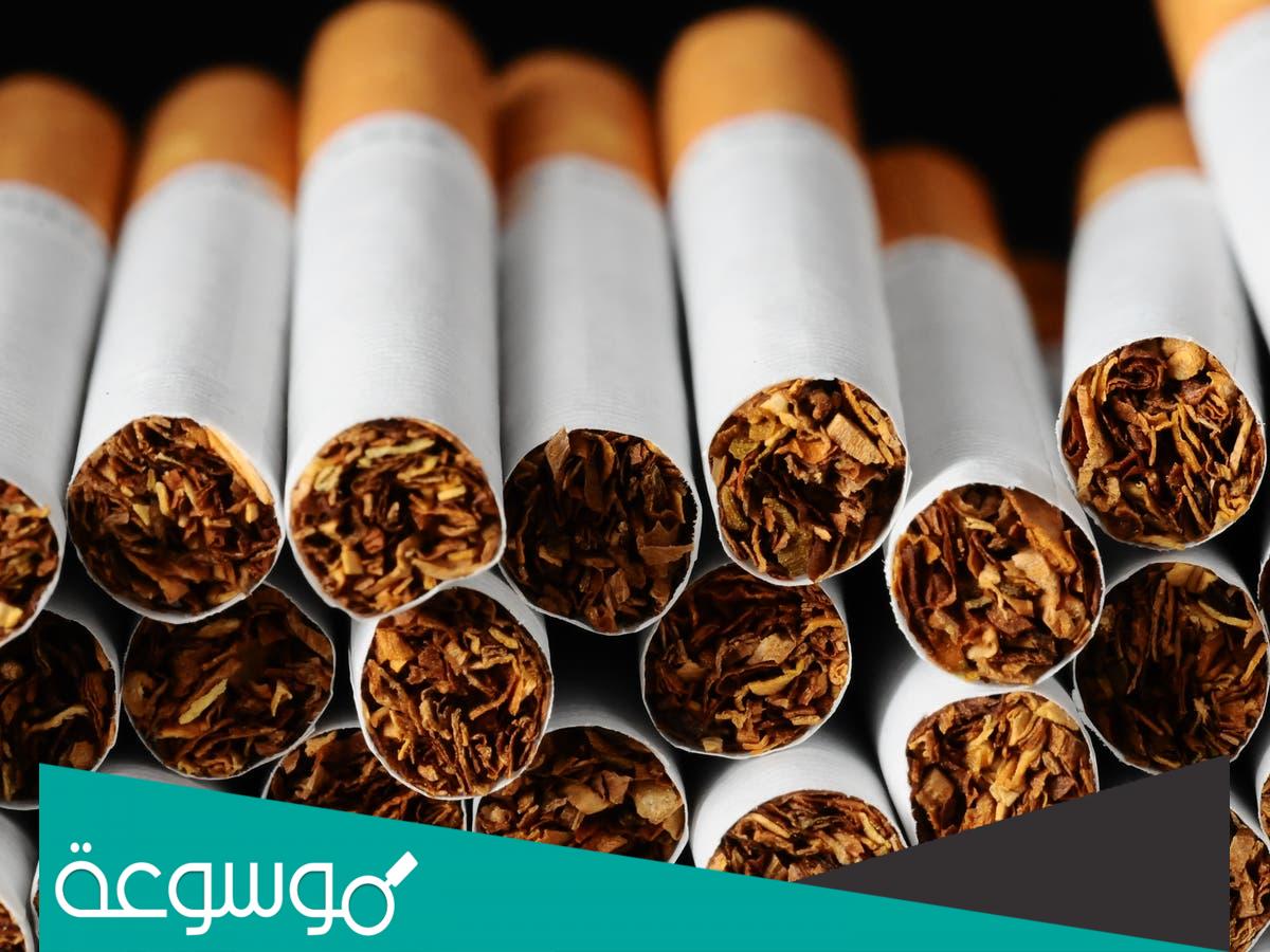 أسعار السجائر في الشركة الشرقية للدخان اليوم