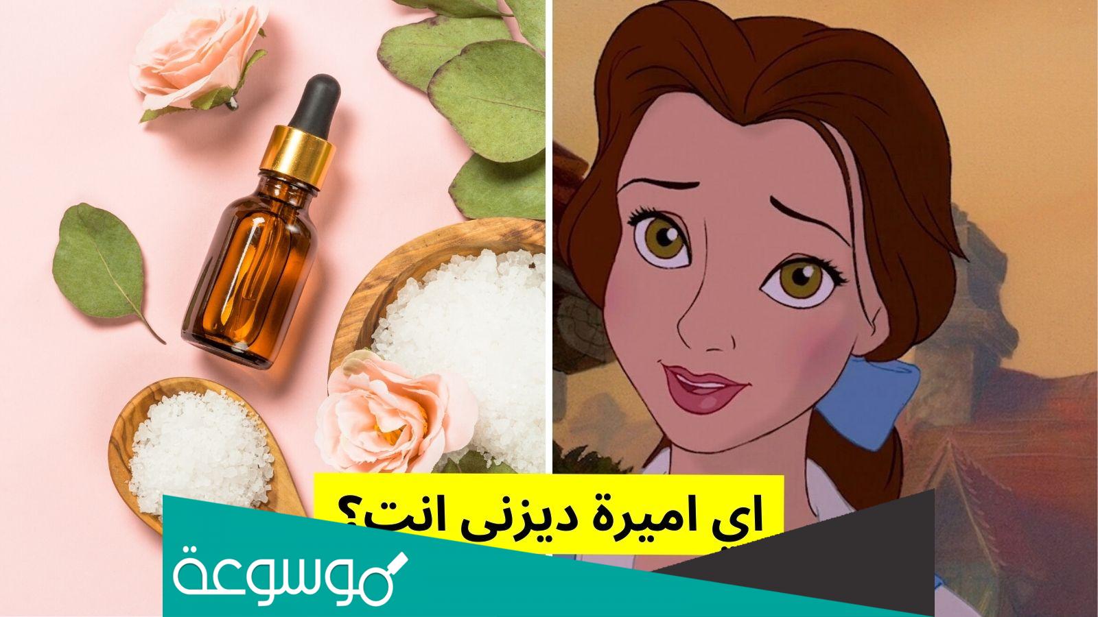 اختبار أميرات ديزني حزر فزر