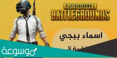 اسماء ببجي مزخرفة PUBG بالانجليزي 2022