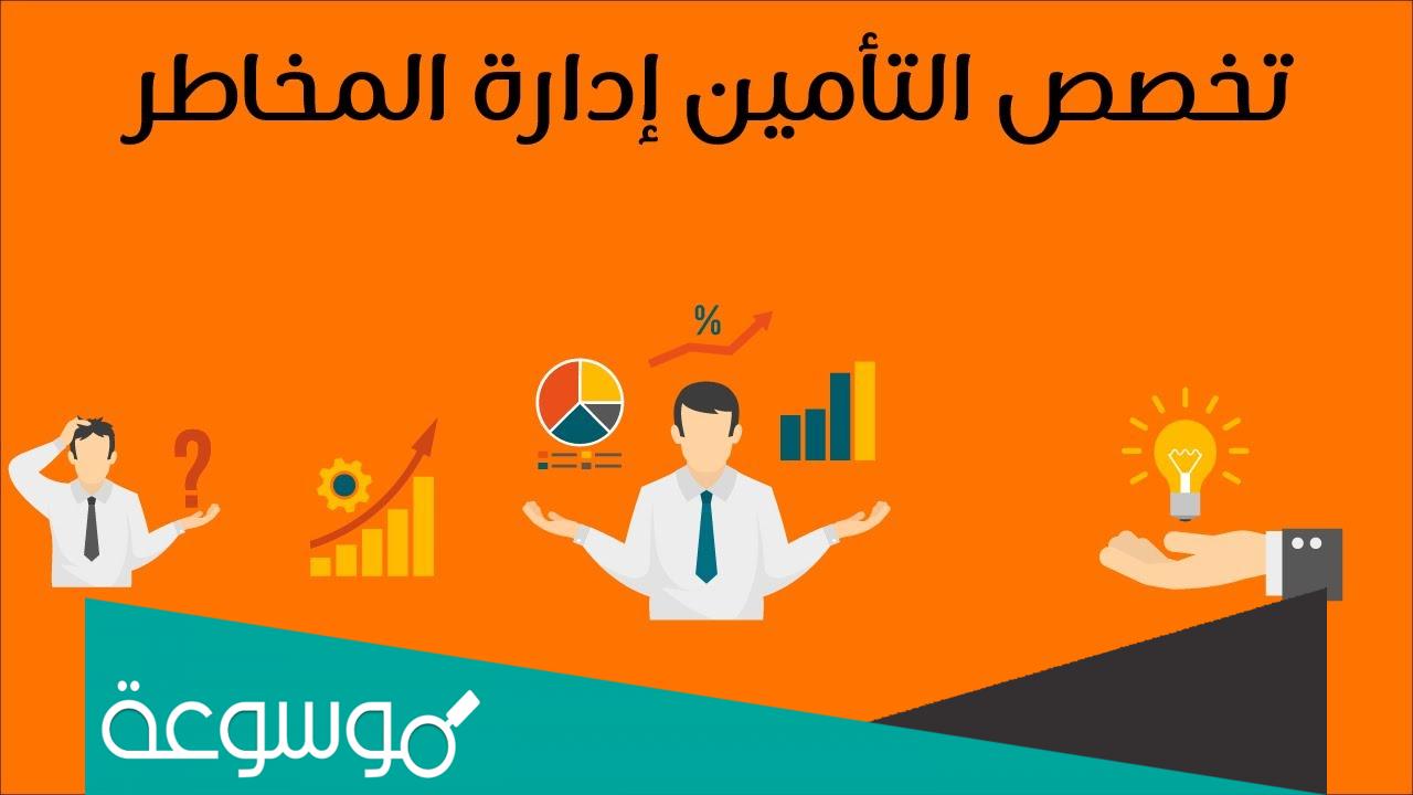 تخصص تأمين وإدارة مخاطر في السعودية