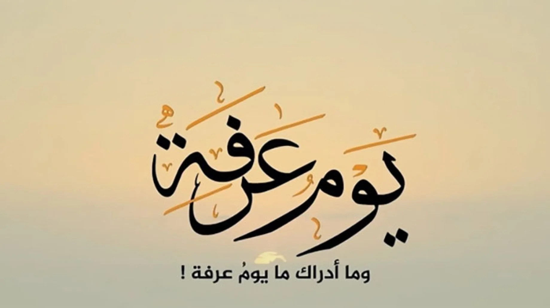 خطبة الجمعة عن فضل صيام يوم عرفة
