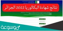 رابط الكشف عن نتائج شهادة البكالوريا 2022