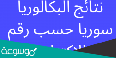 رابط نتائج البكالوريا حسب رقم الاكتتاب في سوريا 2022