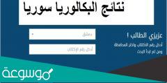 رابط نتائج بكالوريا ٢٠٢٢ حسب الاسم