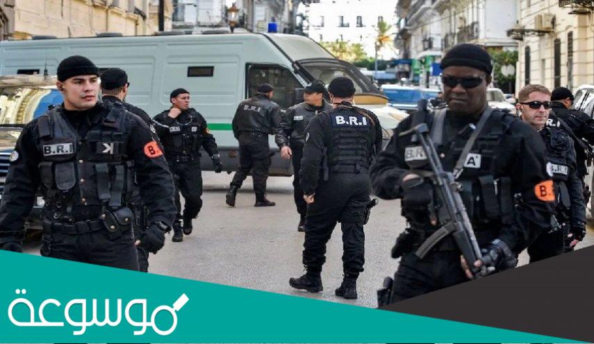 سبب القبض على لزهر لونقو مدير المخابرات التونسية السابق