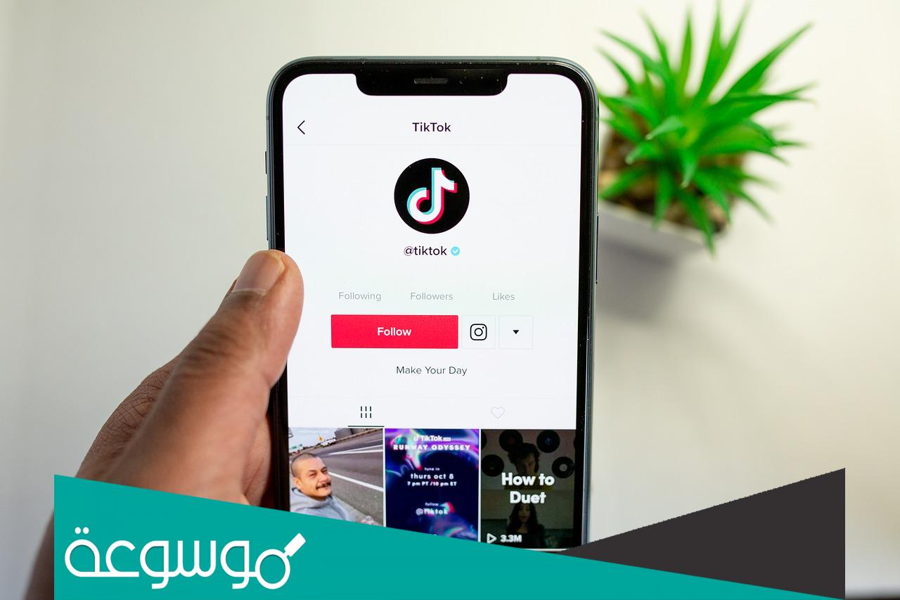 سبب حظر تطبيق تيك توك في العالم
