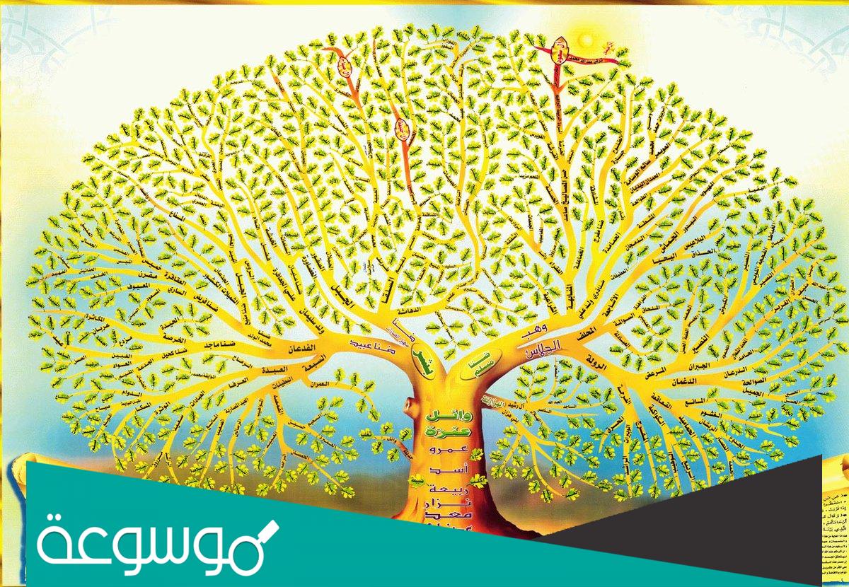 شجرة قبيلة عنزة وفخوذها