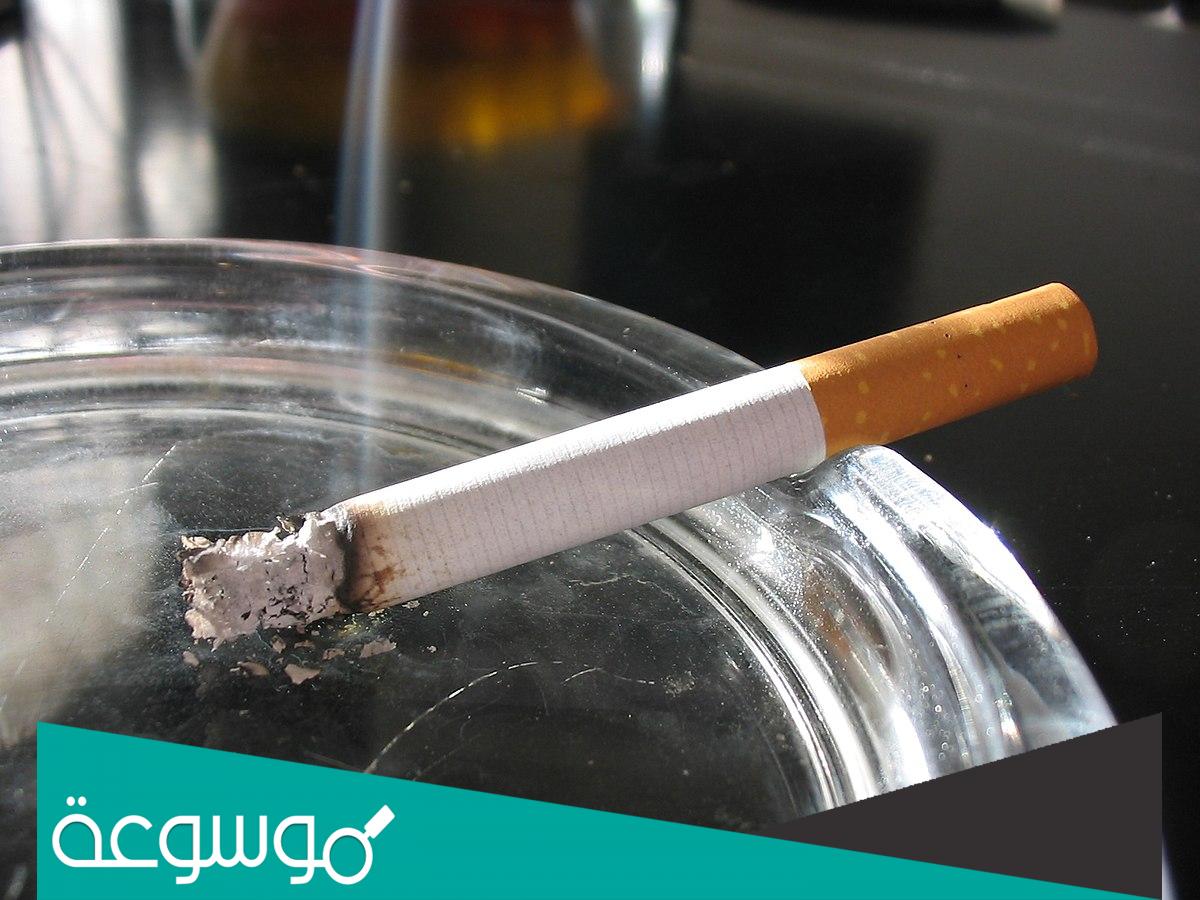 كم تبلغ أسعار السجائر lm اليوم