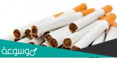 كم تبلغ أسعار السجائر الكليوباترا اليوم
