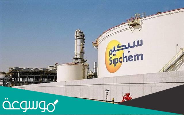 كم سعر سهم سبكيم العالمية 2022