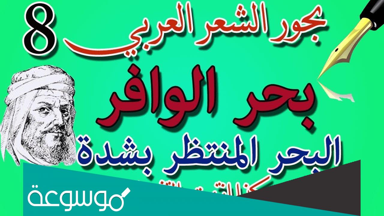 كم عدد بحور الشعر في الادب العربي