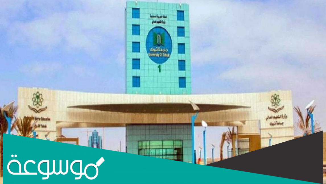 كم نسب القبول في جامعة تبوك 1444