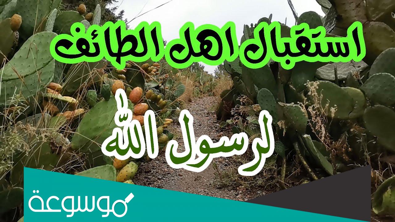 كيف استقبل اهل الطائف الرسول صلى الله عليه وسلم