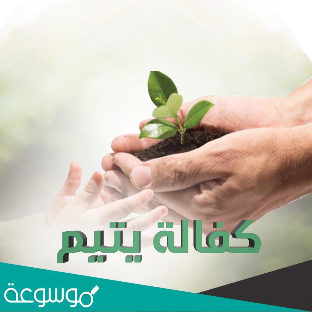 كيف كفالة يتيم مدى الحياة