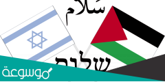ما معنى حل الدولتين ؟