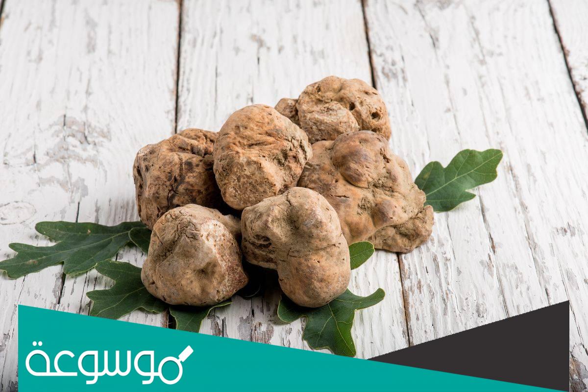 ما هو الفقع السعودي