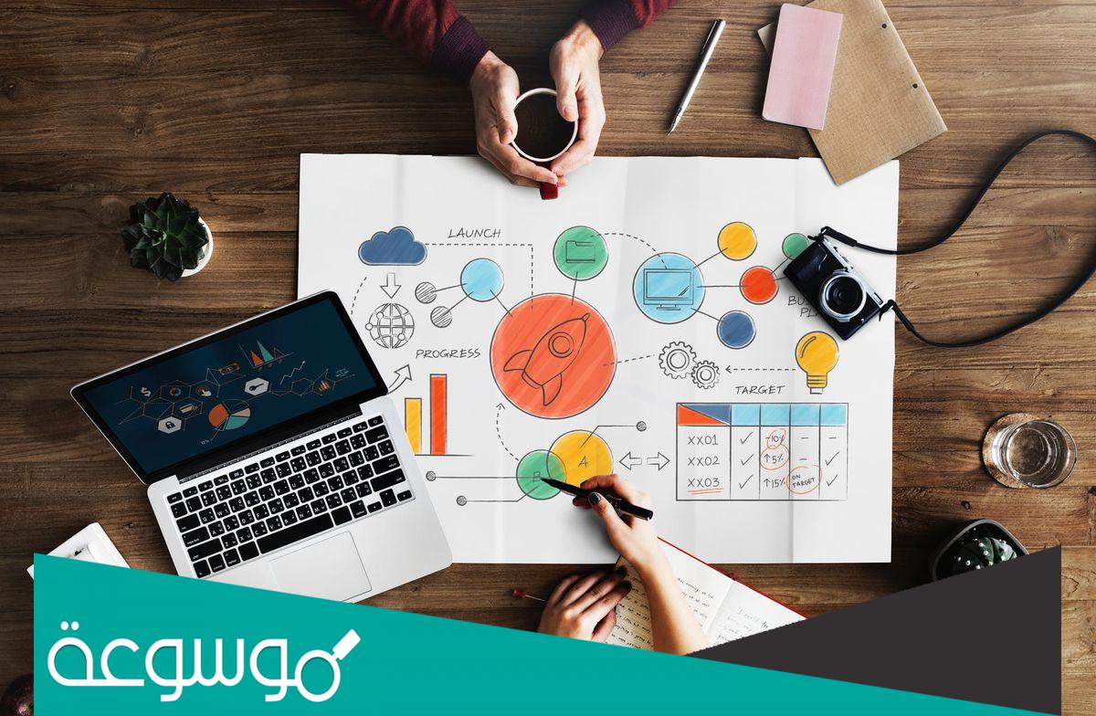 ما هو تخصص فنون في الجزائر