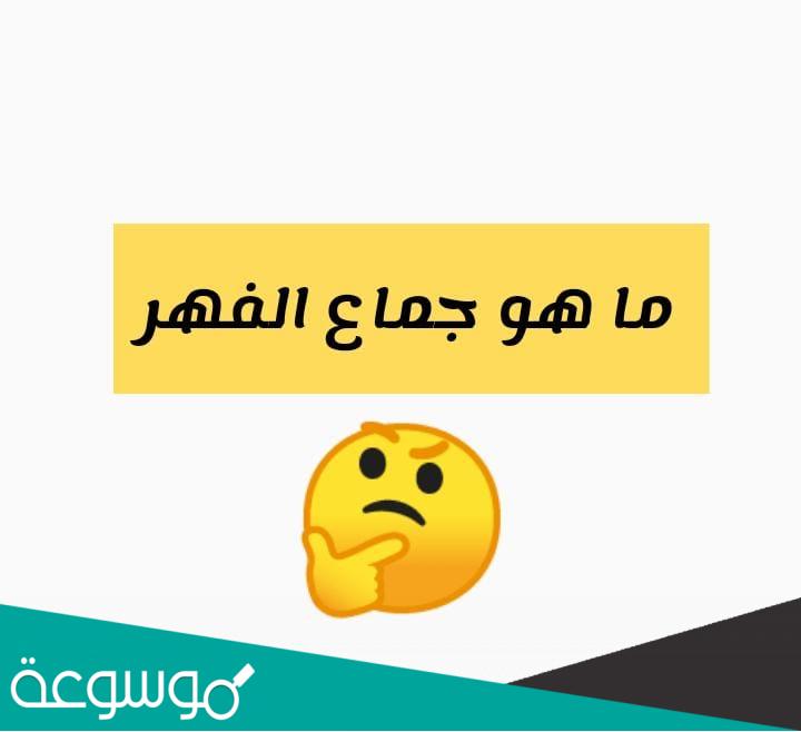 ما هو جماع الفهر ؟