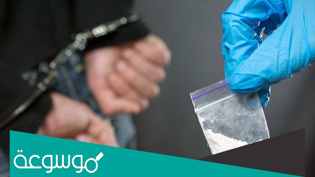 ما هي عقوبة الشخص الذي يجلس مع شباب داخل استراحة يتعاطون المخدرات ولم يشاركهم