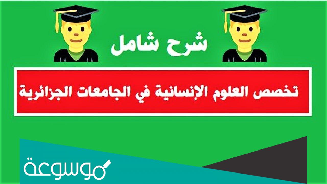 ما هي وظائف تخصص علوم إنسانية في الجزائر