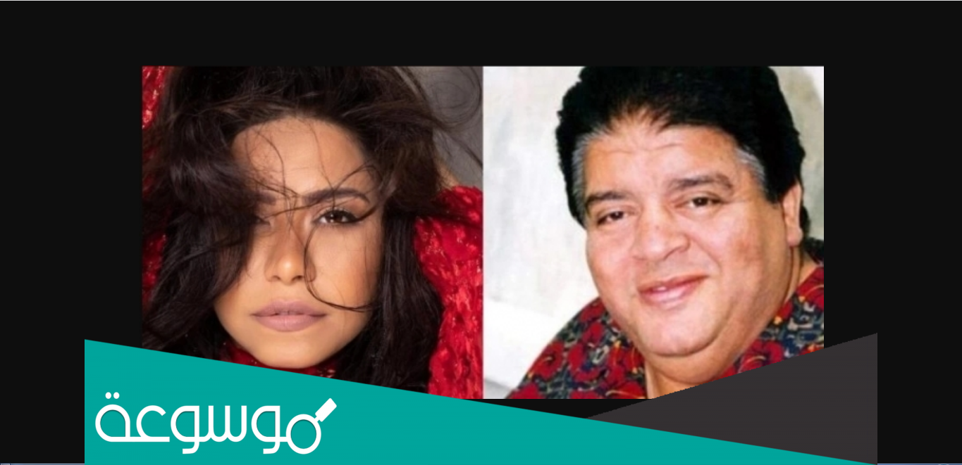 ماذا قالت شيرين عن حسن ابو السعود ؟