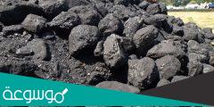 متى تكونت مستنقعات الفحم