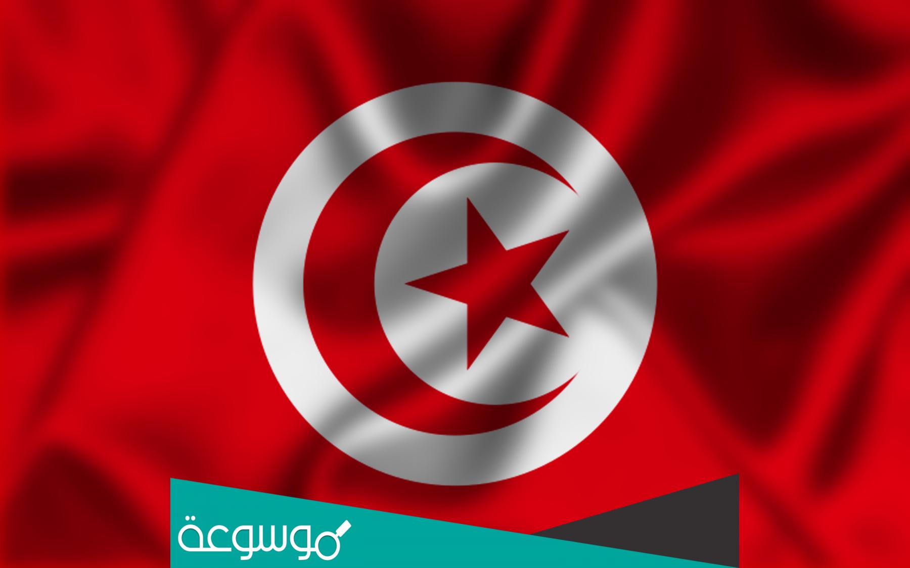 من هو توفيق الشايبي ؟