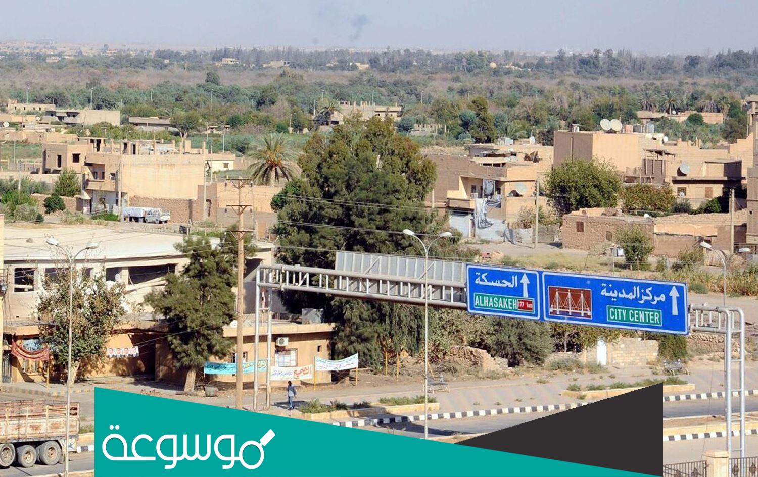 من هو لؤي صيوح محافظ الحسكة ويكيبيديا