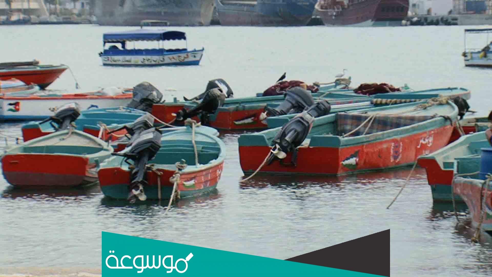 من هو مدير عام الهيئة البحرية الاردنيه ؟