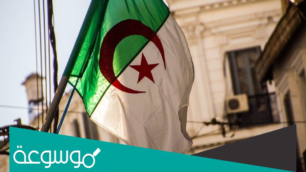 من يستحق المعاش بعد وفاة صاحب المعاش في الجزائر