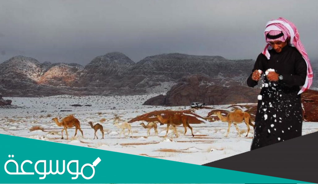 موعد الشتاء في السعودية 1444 ، متى بداية شتاء 2023موعد الشتاء في السعودية 1444 ، متى بداية شتاء 2023