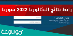 نتائج البكالوريا 2022 سوريا 2022 وزارة التربية والتعليم