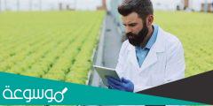 نسب القبول تخصص العلوم الزراعية والاغذية