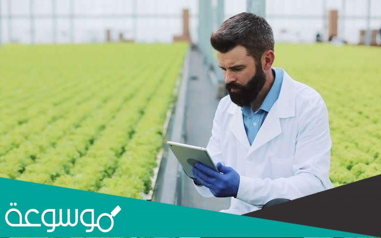 نسب القبول تخصص العلوم الزراعية والاغذية