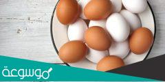 الفرق بين البيض الأبيض والاحمر من حيث القيمة الغذائية