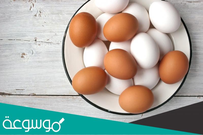 الفرق بين البيض الأبيض والاحمر من حيث القيمة الغذائية