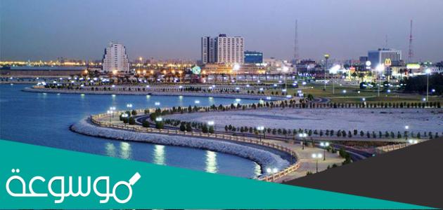 كم عدد سكان السعودية مع المقيمين 2022