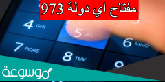 973 مفتاح اي دولة