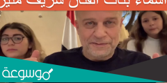 اسماء بنات الفنان شريف منير