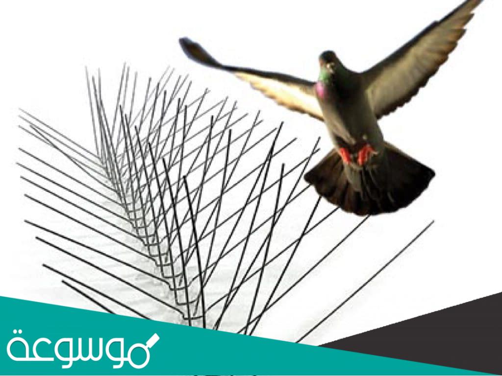 افضل شركة تركيب طارد حمام بالجبيل