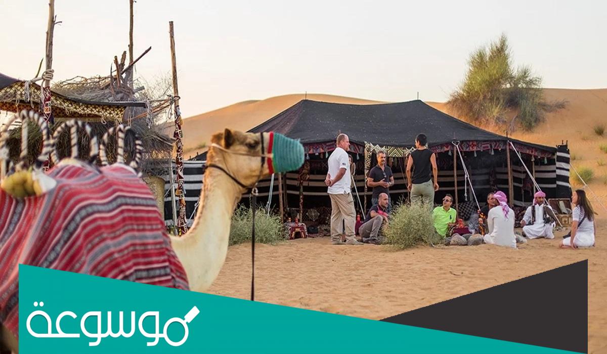 السعود الصقري وش يرجعون